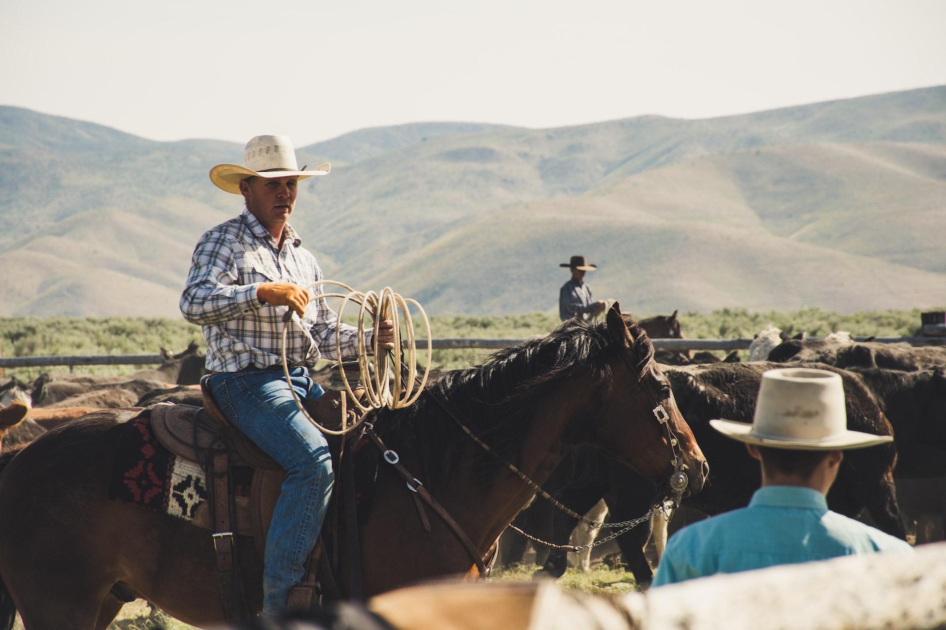 The Best Drills for Improving Your Team Roping Skills