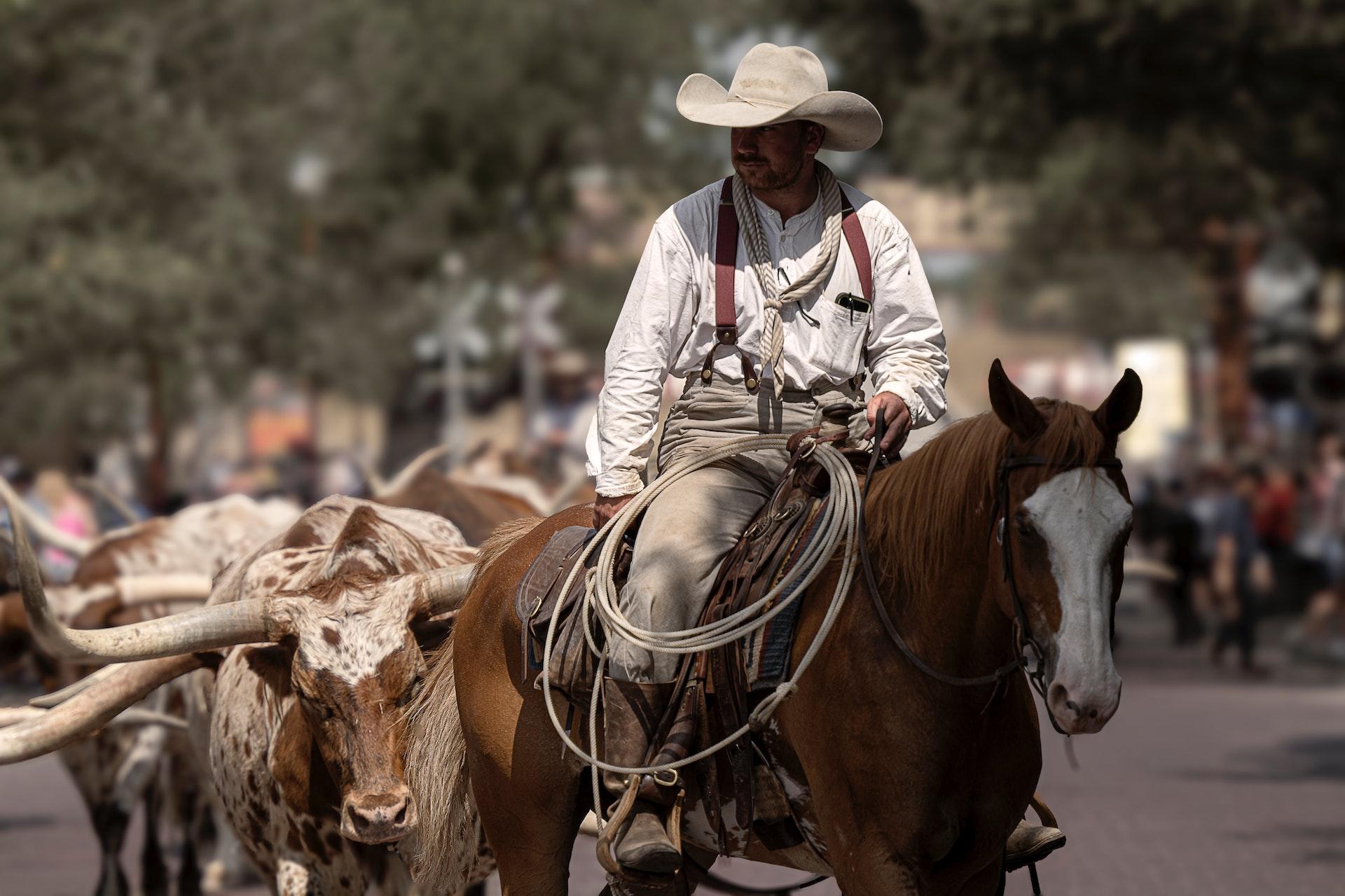 The Benefits of Team Roping for Riders of All Ages and Skill Levels