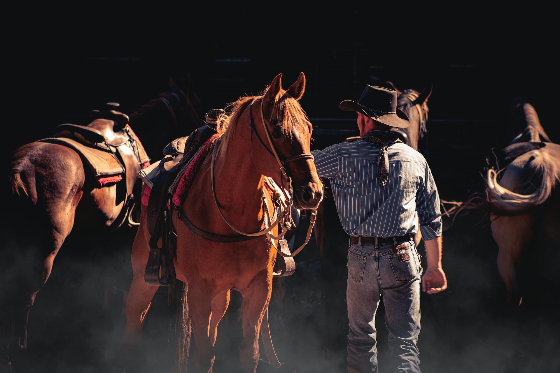 The benefits of team roping for riders and horses